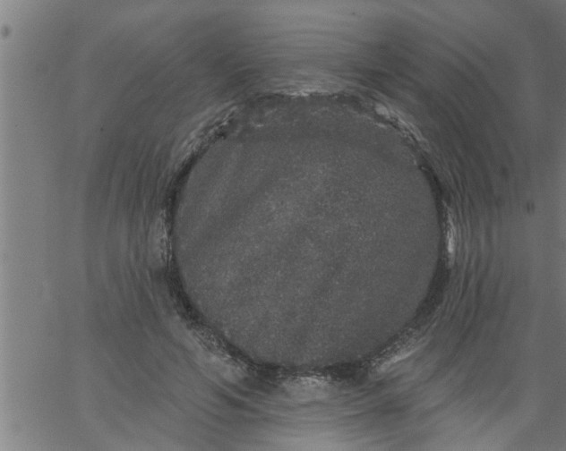 X0000066530594200603311822