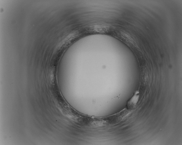 X0000066530595200603311822