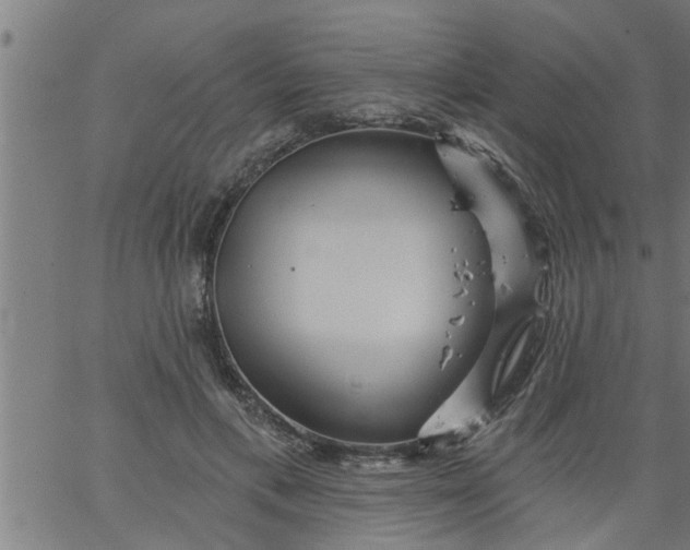 X0000066530597200603311822