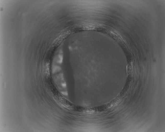 X0000066530598200603311822