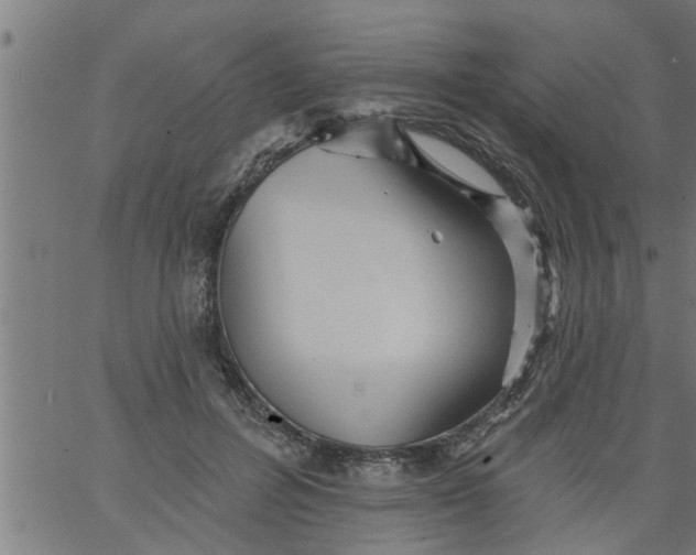 X0000066530600200603311822