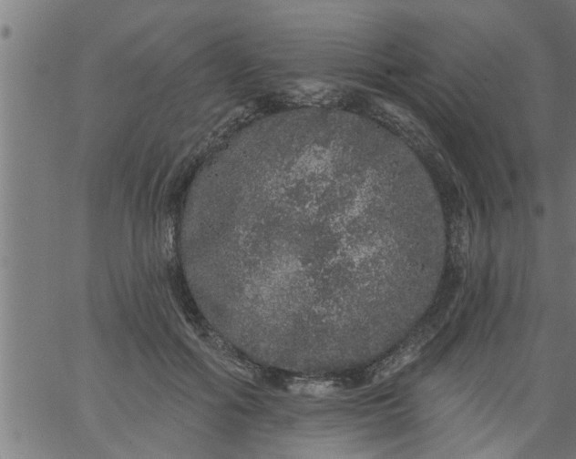 X0000066530602200603311822