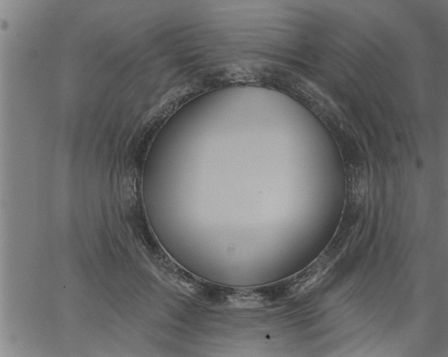 X0000066530603200603311822