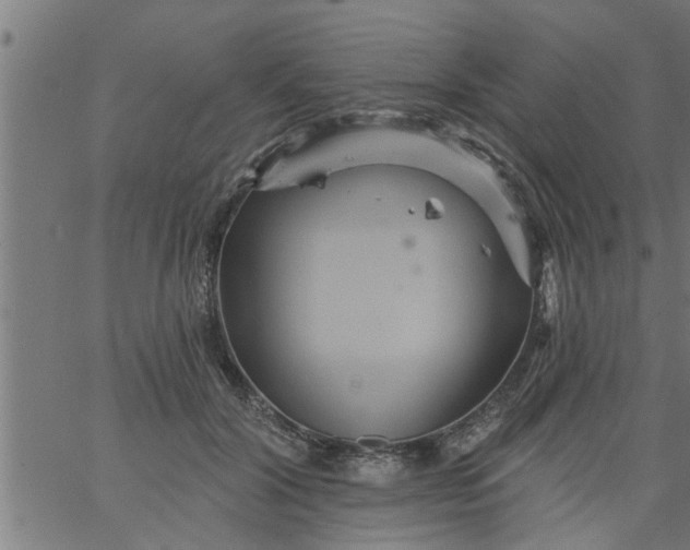 X0000066530604200603311822