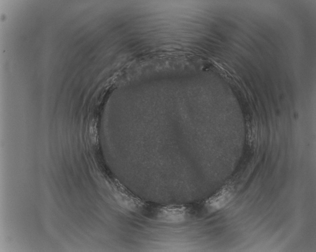 X0000066530606200603311822