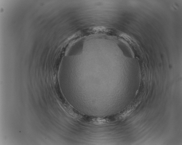 X0000066530607200603311822