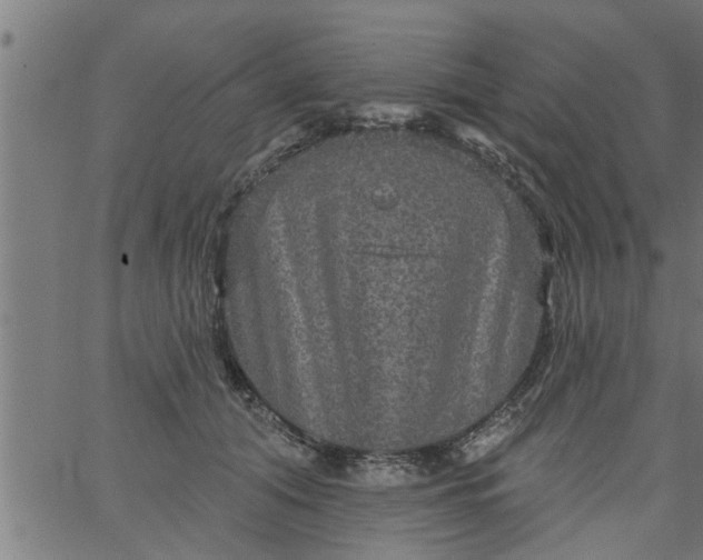 X0000066530608200603311822