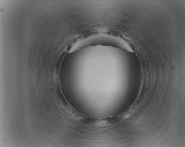 X0000066530609200603311822