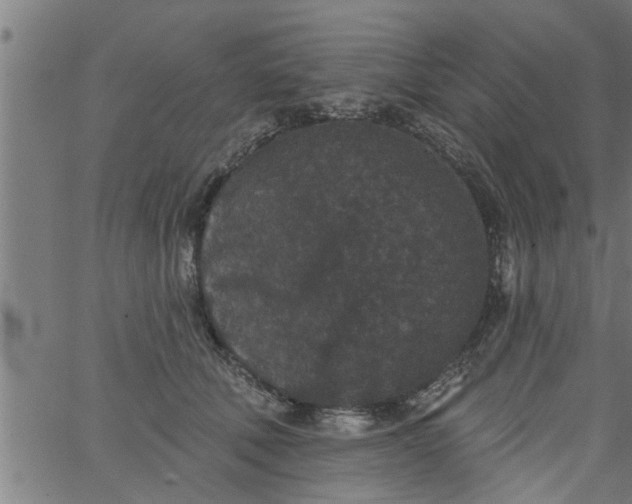 X0000066530610200603311822