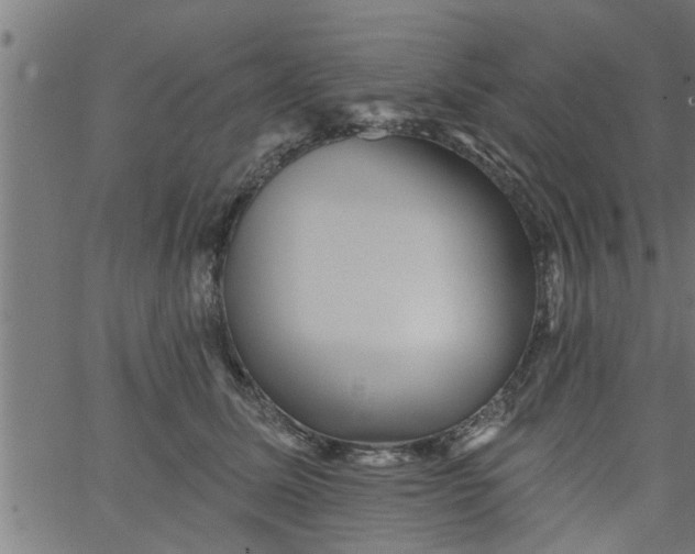 X0000066530611200603311822