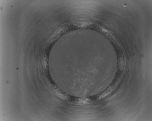 X0000066530612200603311822