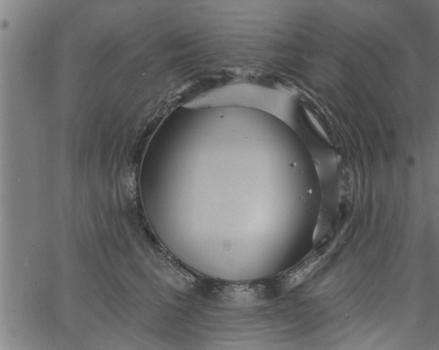 X0000066530613200603311822