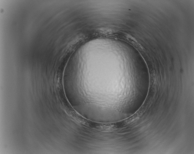 X0000066530615200603311822