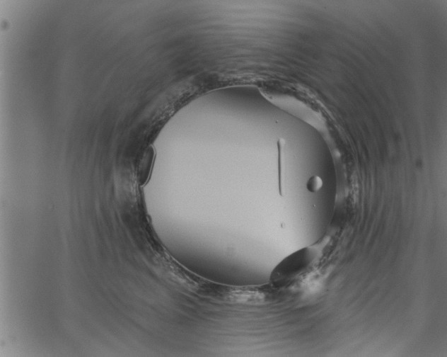 X0000066530617200603311821