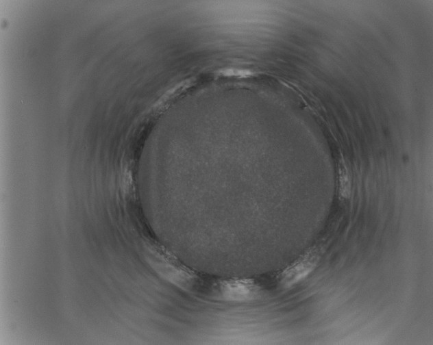 X0000066530618200603311821