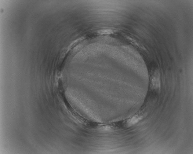 X0000066530620200603311821