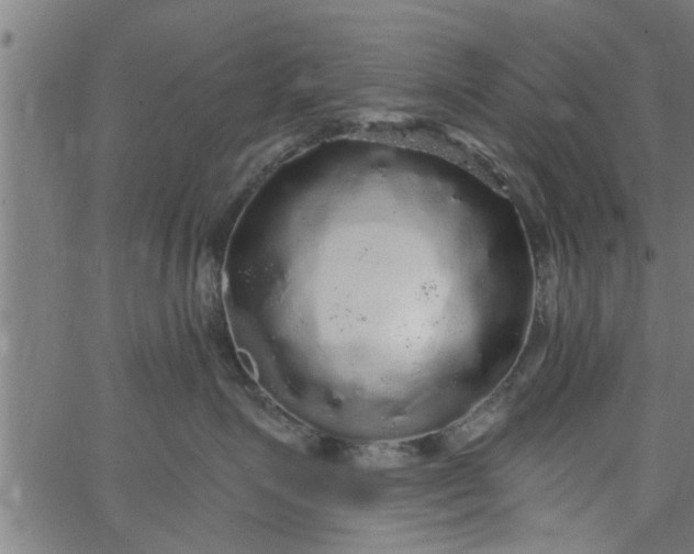 X0000066530623200603311821