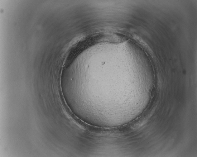 X0000066530625200603311821