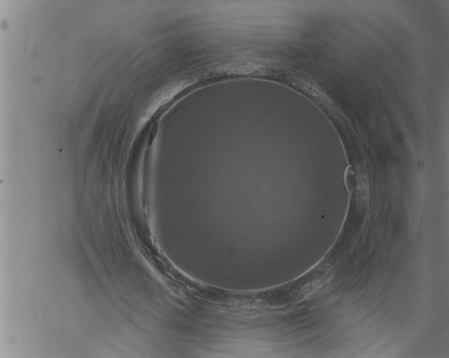 X0000066530626200603311821