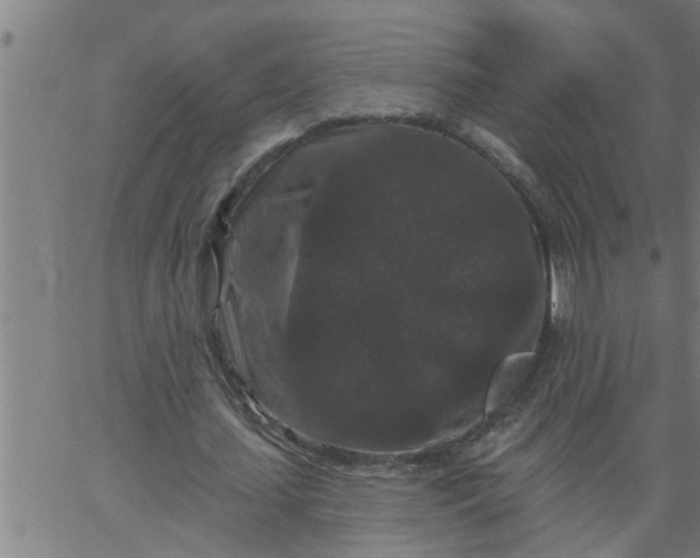 X0000066530627200603311821