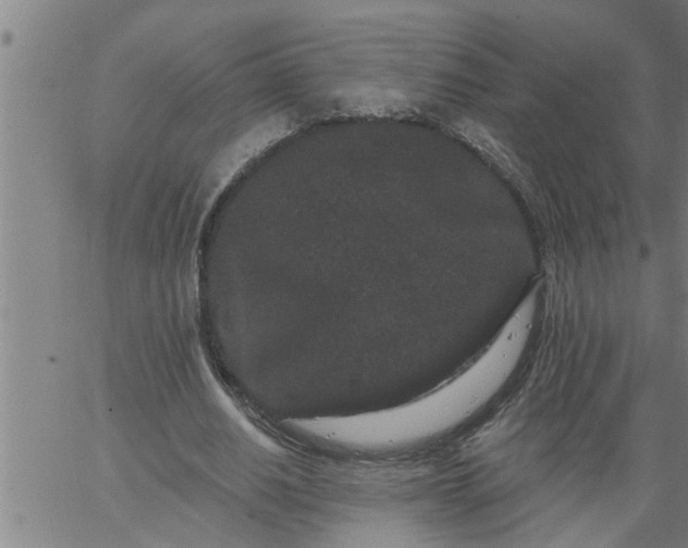 X0000066530630200603311821