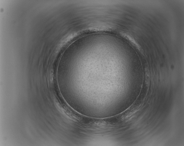 X0000066530631200603311821