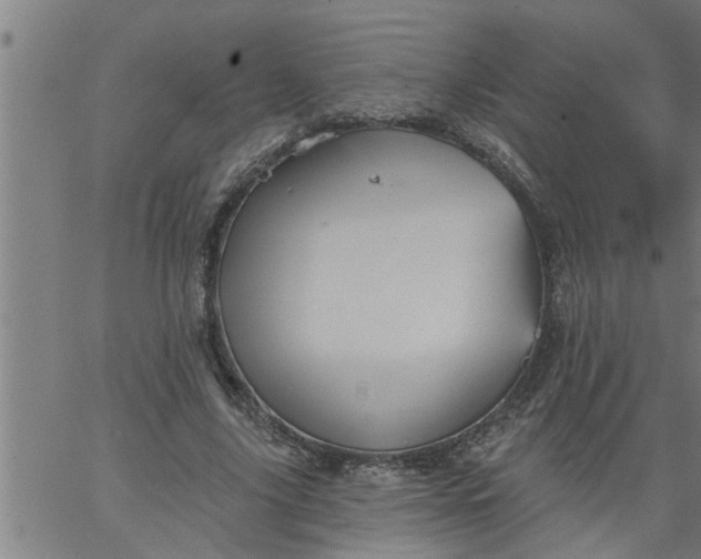 X0000066530635200603311821