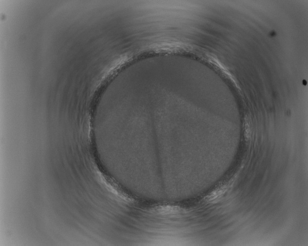 X0000066530637200603311821