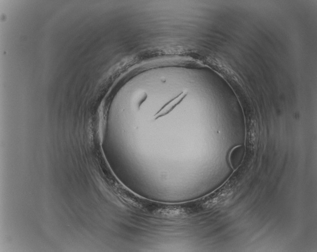 X0000066530639200603311821