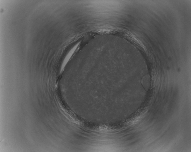 X0000066530641200603311821