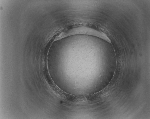 X0000066530642200603311821