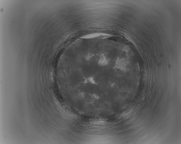 X0000066530643200603311821