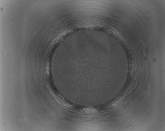 X0000066530644200603311821