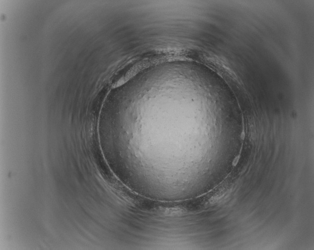 X0000066530645200603311821