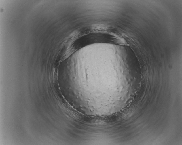 X0000066530649200603311821