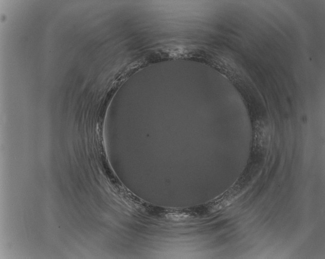 X0000066530650200603311821