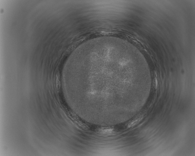 X0000066530651200603311821