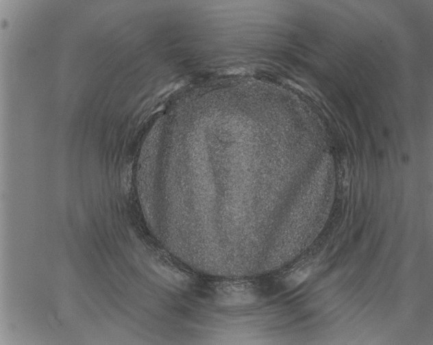 X0000066530652200603311821