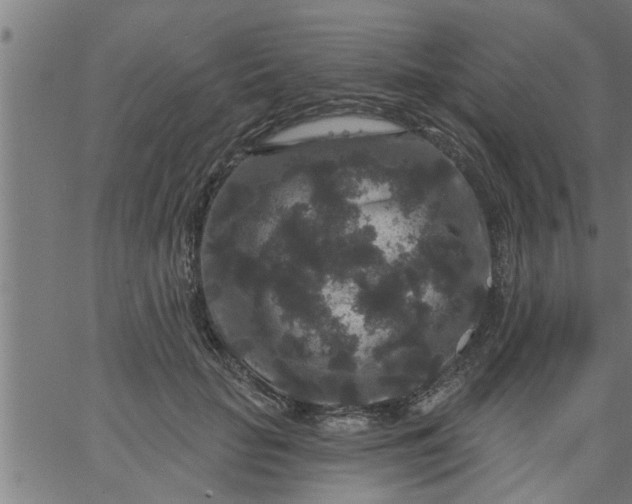 X0000066530653200603311821