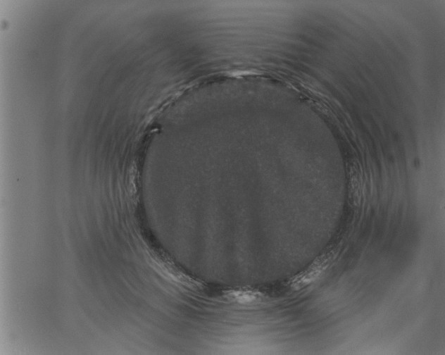 X0000066530654200603311821