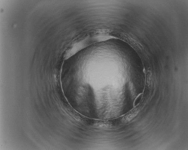 X0000066530655200603311821