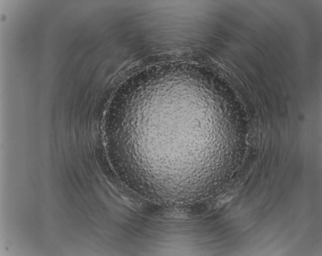 X0000066530656200603311821