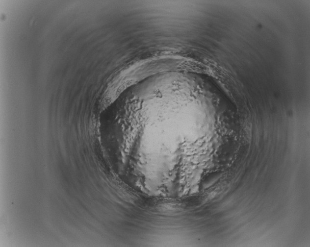 X0000066530657200603311821