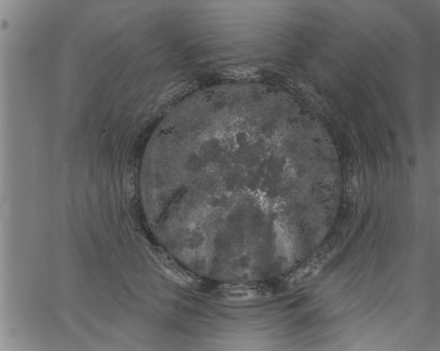 X0000066530658200603311821