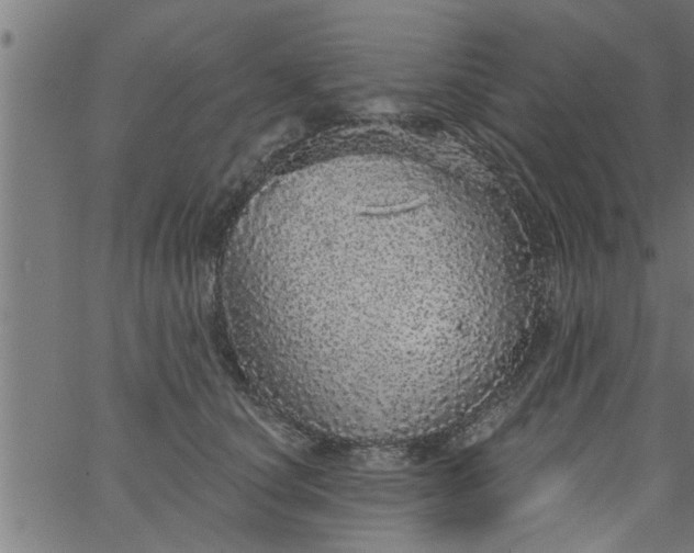 X0000066530660200603311821