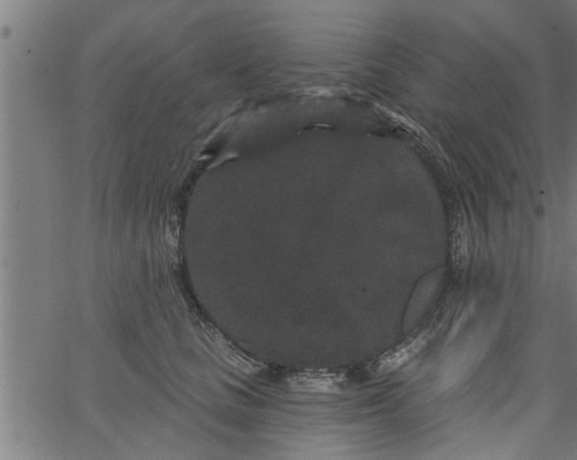 X0000066530661200603311821