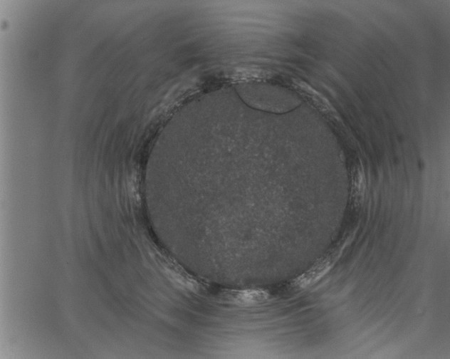 X0000066530663200603311821