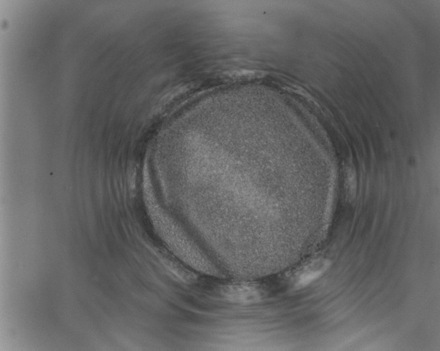 X0000066530668200603311821