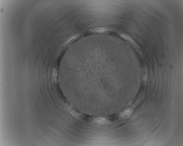 X0000066530669200603311821