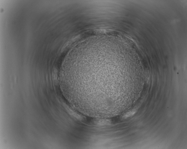 X0000066530670200603311821